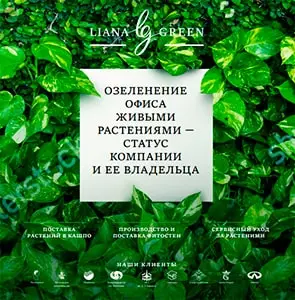 Наше портфолио